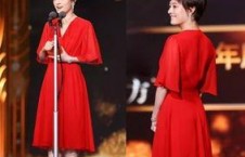 娱乐圈资深吃瓜人小说,揭秘明星背后的秘密与真相