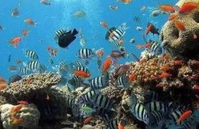 一线吃瓜娱乐圈by海底监,海底监揭秘一线明星幕后故事