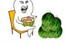 吃瓜娱乐公司,揭秘娱乐圈幕后那些事儿